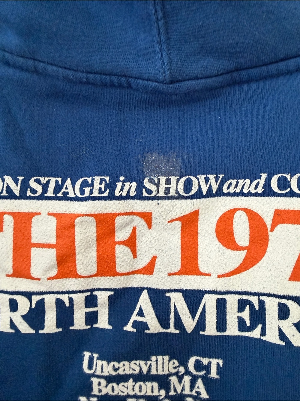 The 1975 Blue Logo Hoodie - Picture 4 of 5